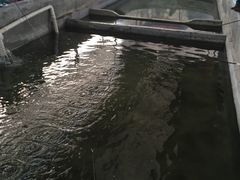 -小象钓虾·营地烧烤(洛溪店)
