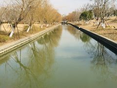 -九科绿洲