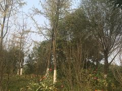 -白鹭湾湿地公园