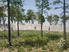 -春花秋色城市公园