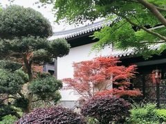 -上海皇廷花园酒店·西餐厅·自助餐