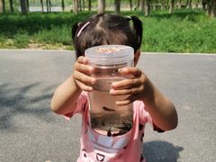 -大兴滨河森林公园