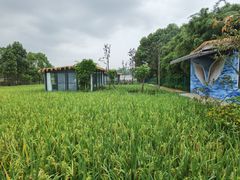 -洪湖家庭农场·团建·露营·会议