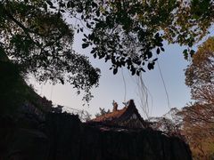 -深圳国际园林花卉博览园