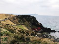 -涉地可支