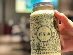 -野萃山·潮汕厚果汁(十亩地店)