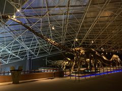 -世界恐龙谷景区