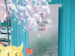 -Nectar One Cafe(勇烈路n1店)