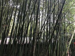 -竹泉村旅游度假区