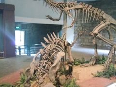 -自贡恐龙博物馆