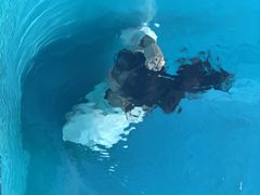 -金泽21世纪美术馆