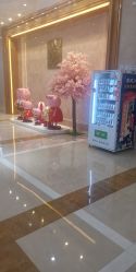 -玛丽亚妇产医院
