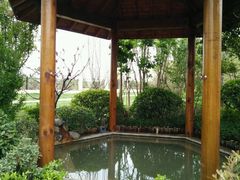 -郑州银基黄帝宫御温泉