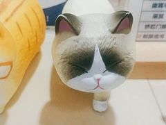 -宠颐生宠物医院外科·内科·皮肤科·影像科(石龙店)