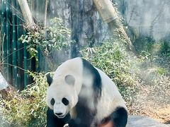-红山森林动物园