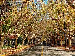 -一尺花园(安和花园店)