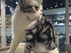 -小时光咖啡馆(开森度假森林店)