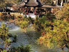 -上海醉白池公园