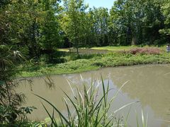 -桤木河湿地公园