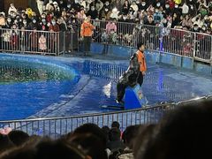 -华夏文旅海洋公园