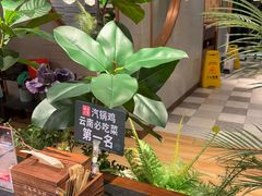 -云海肴·汽锅鸡·云南菜(领展购物广场·中关村店)