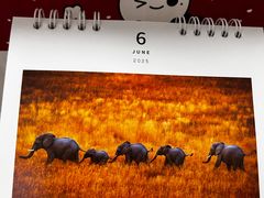 -好利来(朝外店)