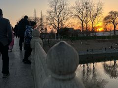 -赵州桥景区