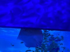 -常州海昌海洋探索馆