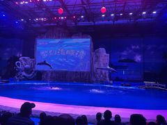 -华夏文旅海洋公园