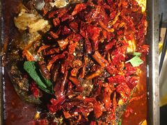 -探鱼·鲜青椒爽麻烤鱼(中天广场店)