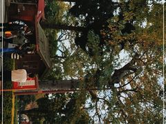 -南普陀寺