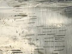 -北岐滩涂