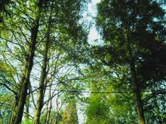 android_upload_pic-常德桃花源景区