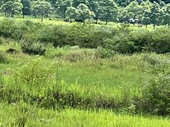 -Club Med地中海俱乐部·桂林度假村