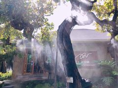 -Chom Cafe and Restaurant