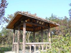 -宝界山林公园