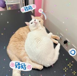 -齐伽生活馆·瑜伽·普拉提·阿育吠陀