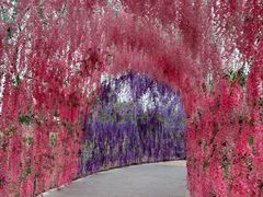 -歌斐颂巧克力小镇