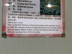 -上海大自然野生昆虫馆(东方明珠·爬宠昆虫探索中心)