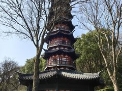 -上海佘山国家森林公园西佘山园