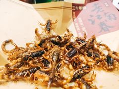 中蝎子-老江南春·中国龙菜(衡山路店)