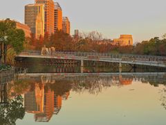 -上海吴淞炮台湾国家湿地公园