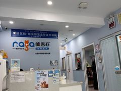 -纳吉亚猫专科动物诊疗中心(蒋宅口分院)