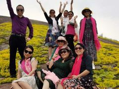 -飞天山旅游区