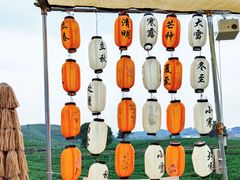 -龙坞茶村