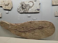 -辽宁古生物博物馆