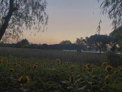 -艾溪湖湿地公园