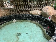 -秦皇岛阿尔卡迪亚滨海度假酒店