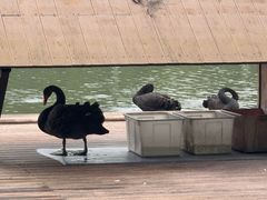 -浙江大学(紫金港校区)