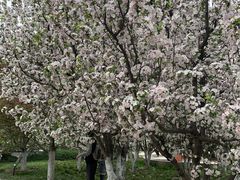 -元大都城垣遗址公园